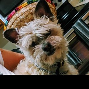 True religion, juicy couture, makeup